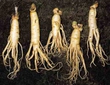 Ginseng Ne İşe Yarar? Ginseng Ne İşe Yarar?
