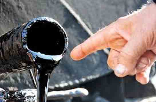 Katran Ne İşe Yarar?