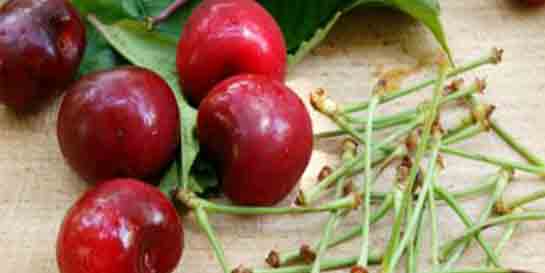 Kiraz Sapı Ne İşe Yarar?