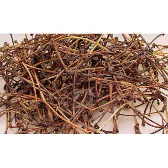 Vişne Sapı Ne İşe Yarar?