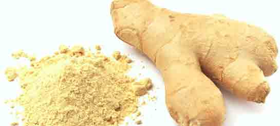 Zencefil Ne İşe Yarar?